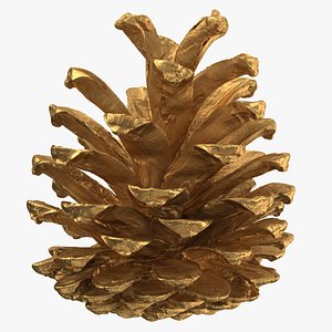 3D pine cone 01 gold