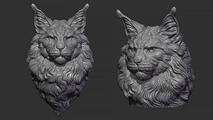 3D model Maine Coon head