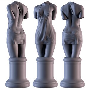Woman Torso