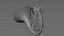 Realistic French Horn High Detail Brass Instrument