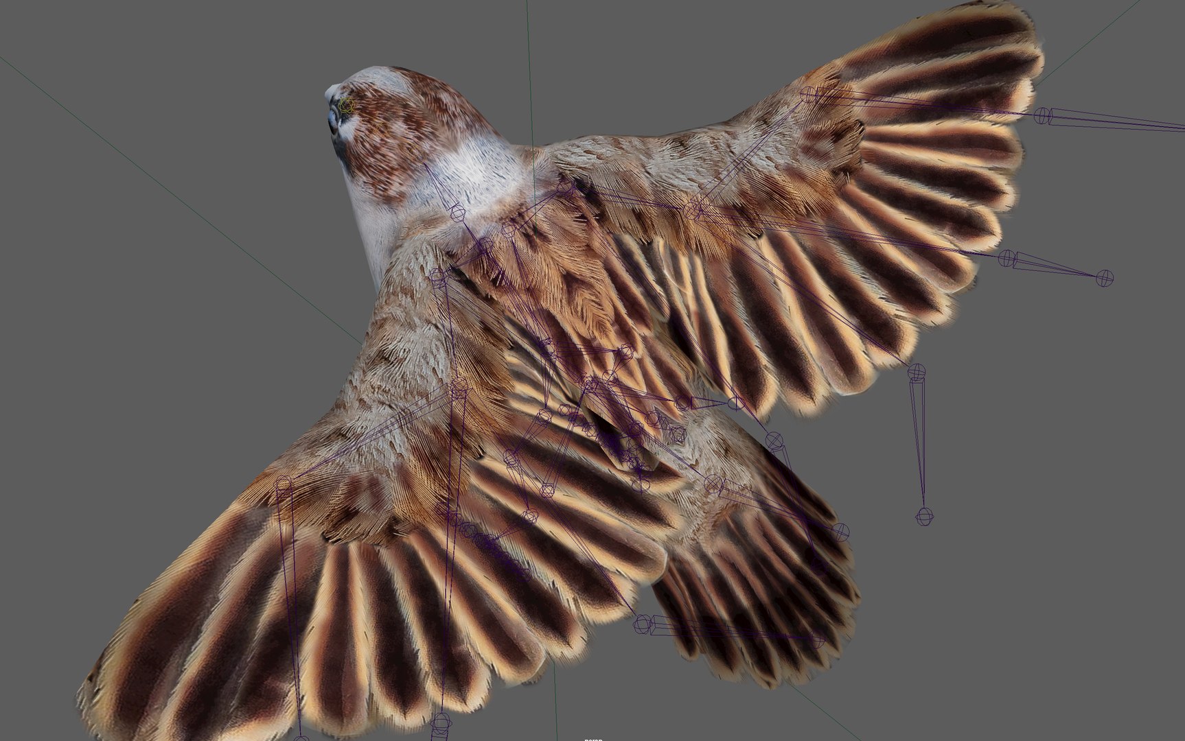Sparrow Rigged 3D https://p.turbosquid.com/ts-thumb/0G/oqZtM1/0j/6/png/1654375481/1920x1080/fit_q87/c2d10d198d4d3af05d6c35de9aa1bd1dfcac52ff/6.jpg