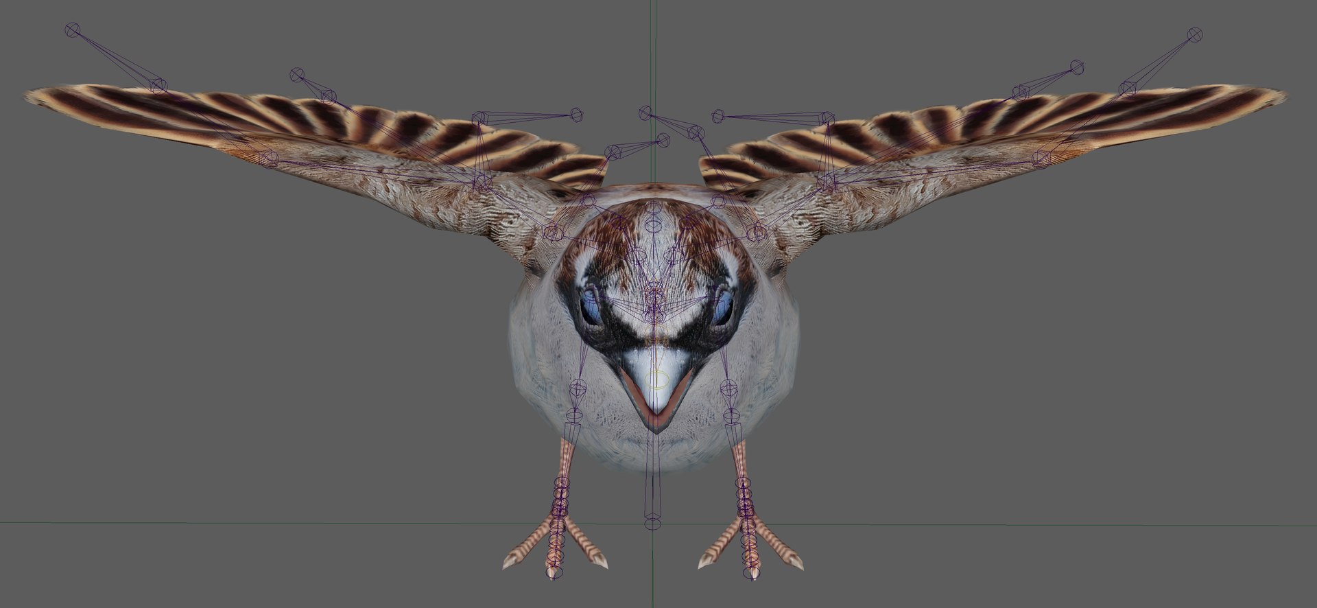 Sparrow Rigged 3D https://p.turbosquid.com/ts-thumb/0G/oqZtM1/69/19/png/1654375455/1920x1080/fit_q87/f7a941cba95751db30682af662f30e18584675f9/19.jpg
