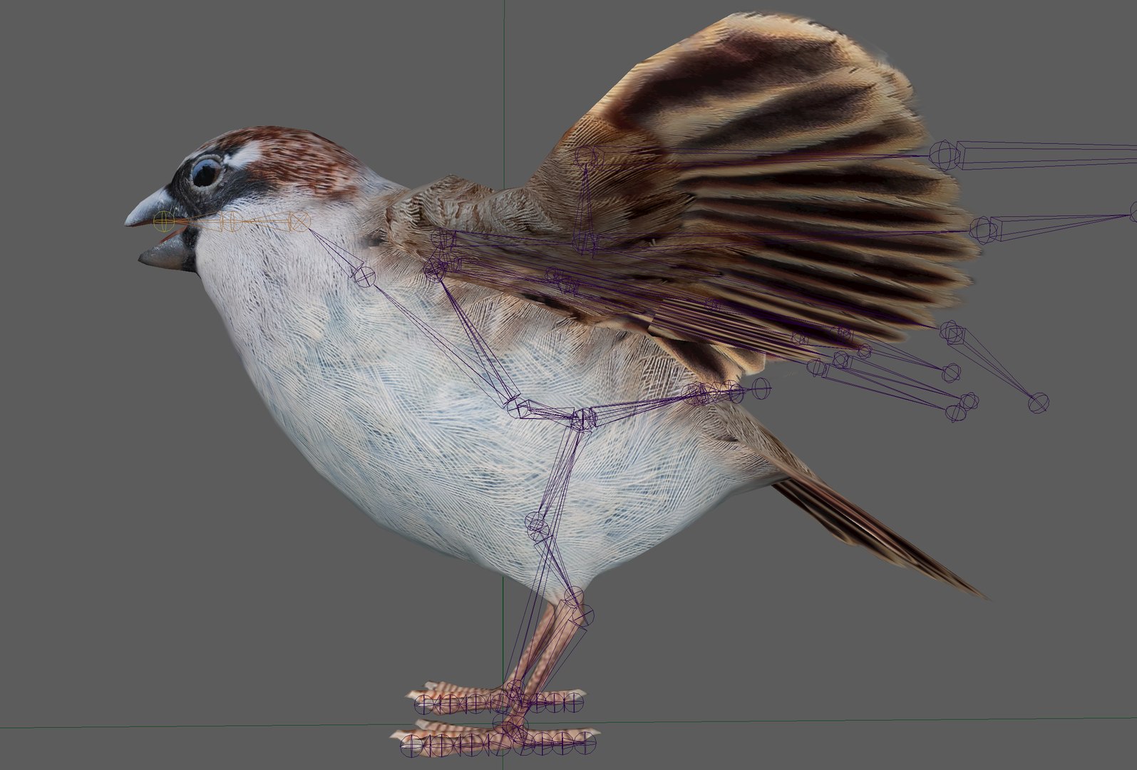 Sparrow Rigged 3D https://p.turbosquid.com/ts-thumb/0G/oqZtM1/88/7/png/1654375484/1920x1080/fit_q87/000959a02b29a30f785ecba1186a2bf32bbc4ada/7.jpg