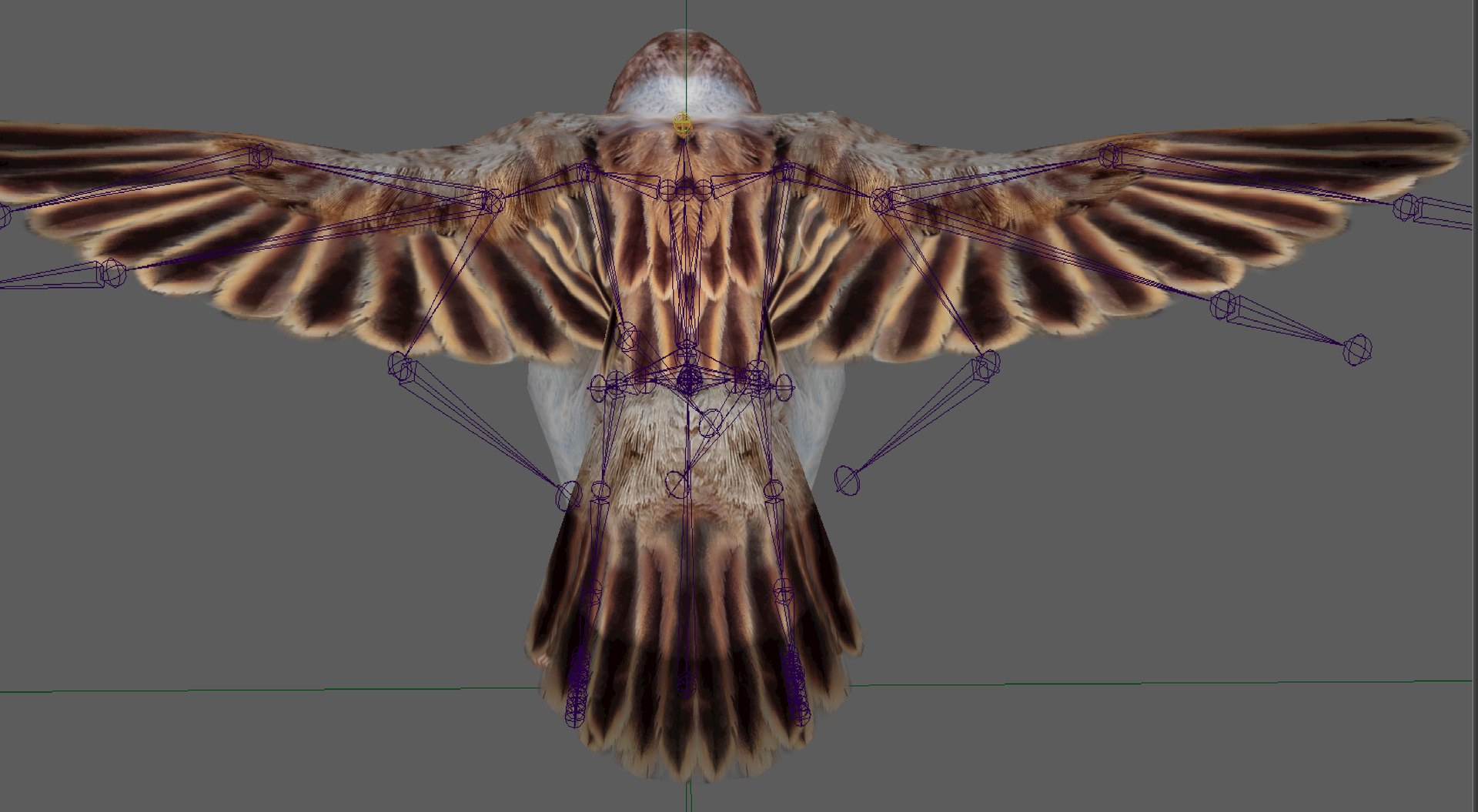 Sparrow Rigged 3D https://p.turbosquid.com/ts-thumb/0G/oqZtM1/G9/11/png/1654375464/1920x1080/fit_q87/203b5e2bf692384fa71e82a1984f16aaf0c1af65/11.jpg