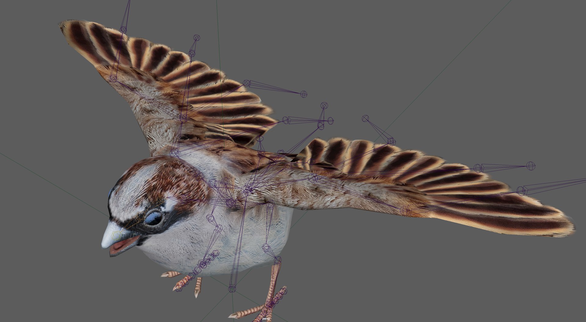 Sparrow Rigged 3D https://p.turbosquid.com/ts-thumb/0G/oqZtM1/NW/12/png/1654375486/1920x1080/fit_q87/5ae669bb18c33e731d20ee19f6c853f8c8f40709/12.jpg
