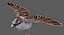 Sparrow Rigged