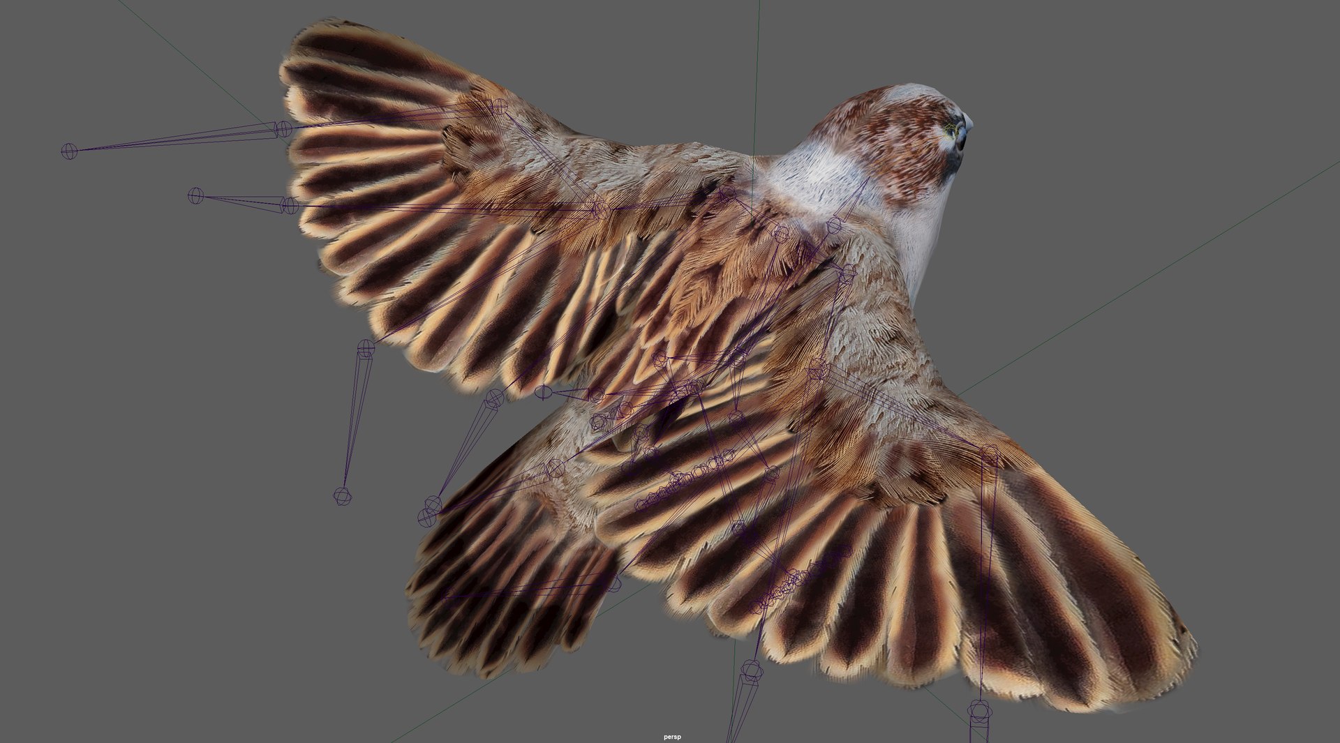 Sparrow Rigged 3D https://p.turbosquid.com/ts-thumb/0G/oqZtM1/Q6/5/png/1654375476/1920x1080/fit_q87/f3ed5551cc1071b13dc04906174b6586ecf1e775/5.jpg