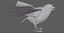 Sparrow Rigged