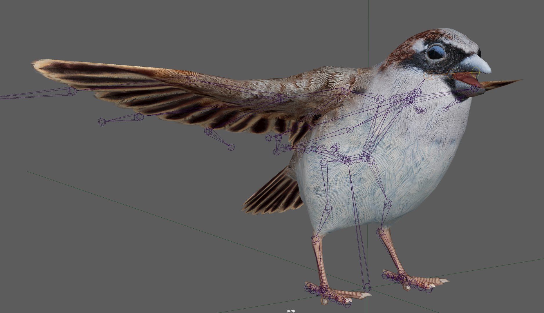 Sparrow Rigged 3D https://p.turbosquid.com/ts-thumb/0G/oqZtM1/po/3/png/1654375460/1920x1080/fit_q87/98b5b35e2b04faa6710839fa1ff2811d1f46283c/3.jpg