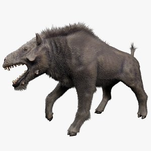 Entelodont rigged fur 3D
