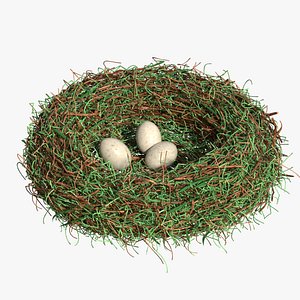 3D Bird nest