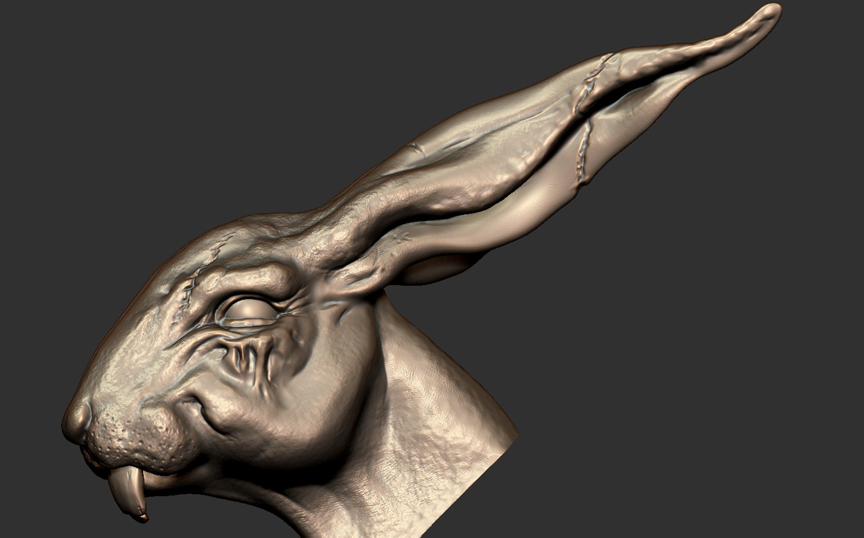 rabbit 3D model https://p.turbosquid.com/ts-thumb/0H/75VSNu/An/12/png/1617382195/1920x1080/fit_q87/0b0a89e34b0aab5dd6e26b39cce62952043d1f1a/12.jpg