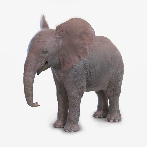 baby elephant fur max