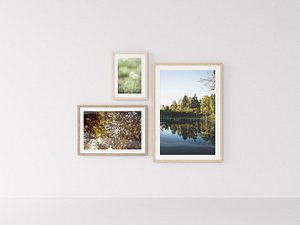 3D frames nature
