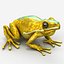 Frog 5