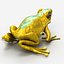 Frog 5