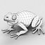Frog 5
