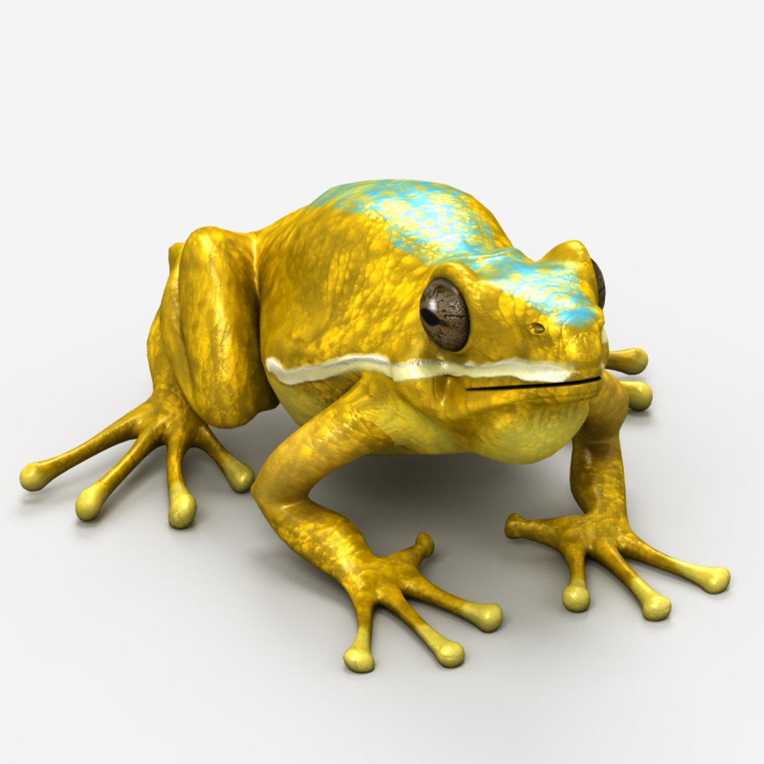 frog 3d max https://p.turbosquid.com/ts-thumb/0H/LWKy4M/po4a2QTf/10010/jpg/1410096465/1920x1080/fit_q87/16ff2771df2cd0ec6f3479cb57c1c7c641815289/10010.jpg