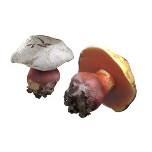 3D Mushroom 2