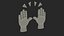 Raised Hands Emoji