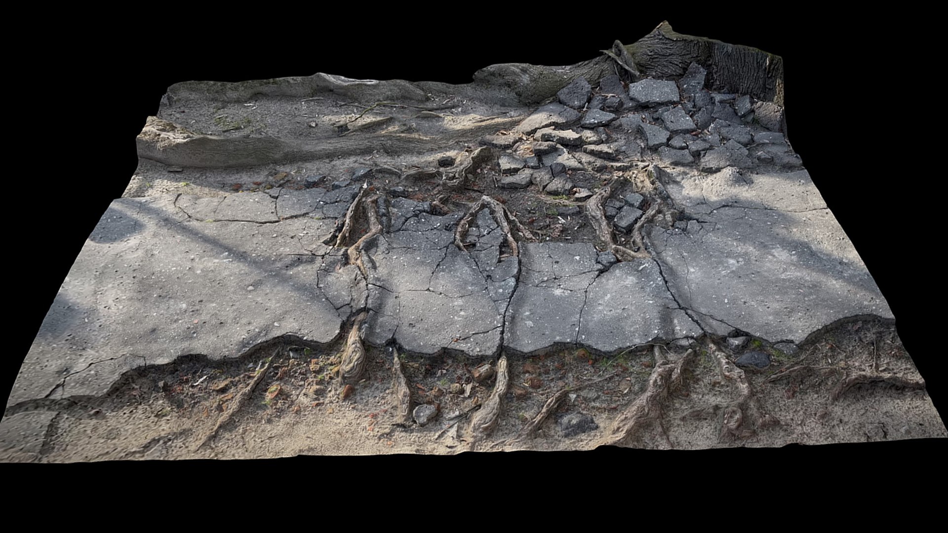 3D Tree Roots Road Asphalt Debris Part1 Photogrammetry Model ...