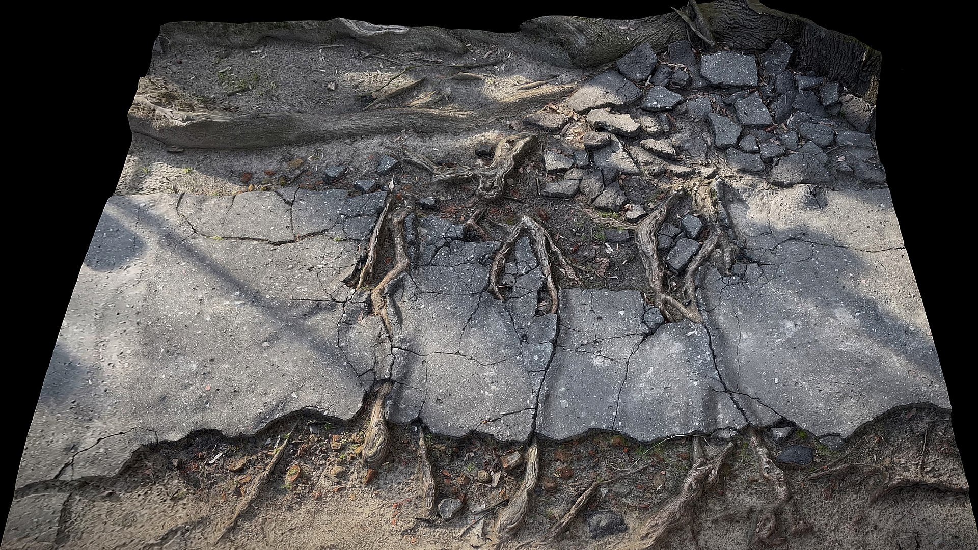 3D Tree Roots Road Asphalt Debris Part1 Photogrammetry Model ...