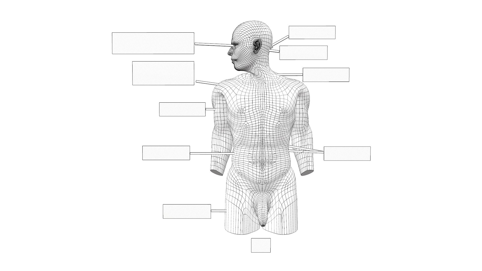 3D Male Body With Part Model - TurboSquid 2140393