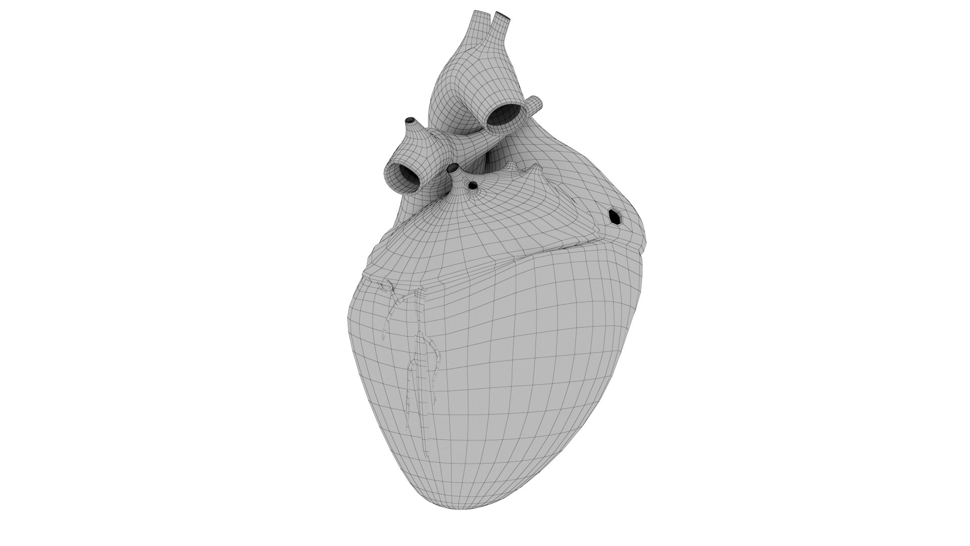3D Model Heart - TurboSquid 2190913