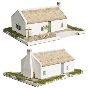 3D Old house