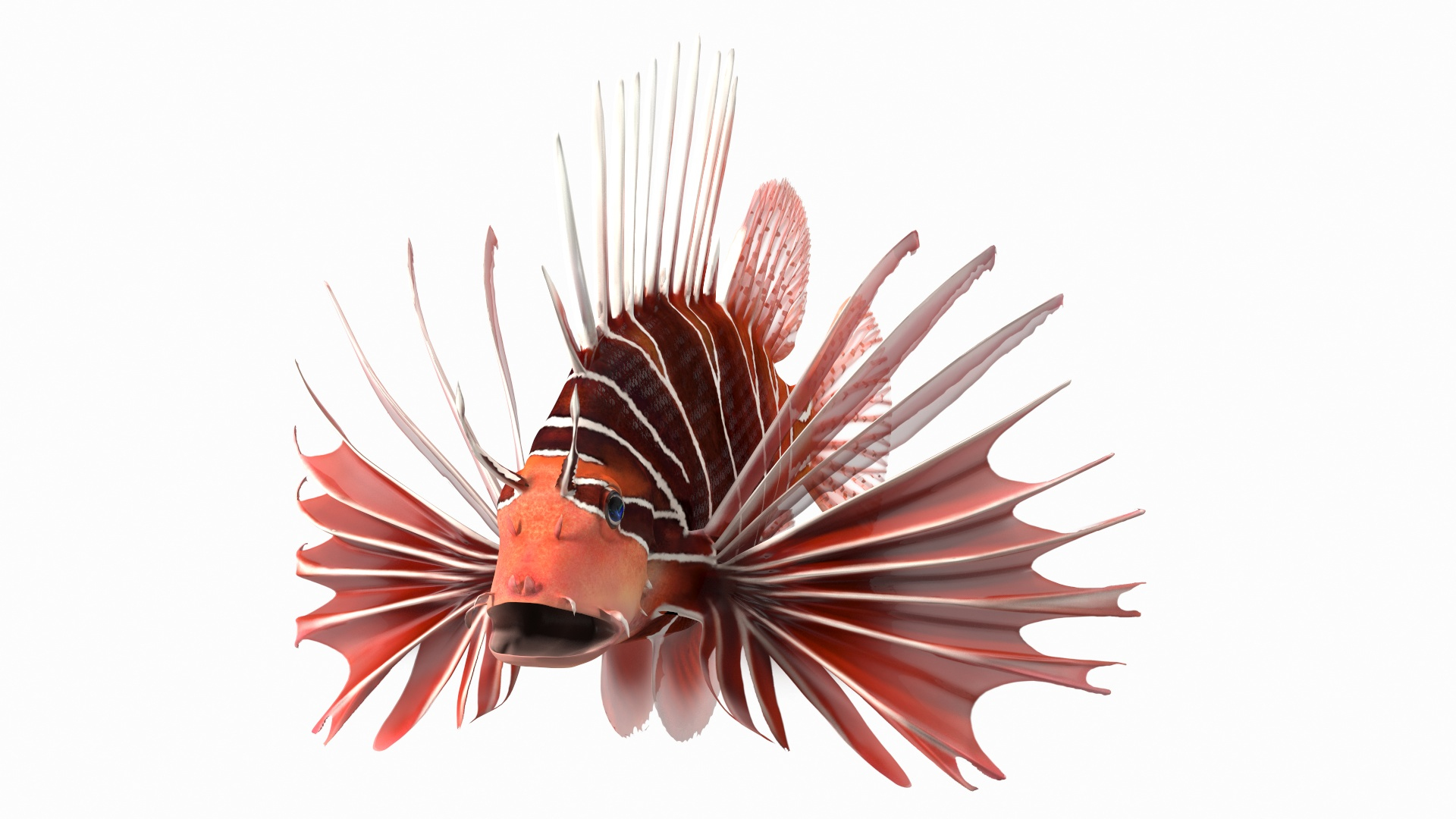 3D Model Clearfin Lionfish Rigged For Modo - TurboSquid 2006758