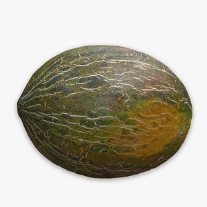 Piel De Sapo Melon 3D model
