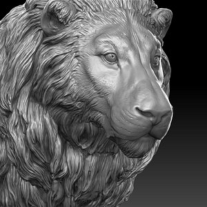 Lion Head Realistic