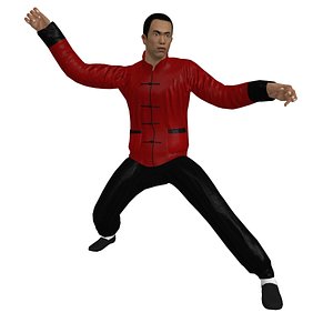3d model rigged martial artist man