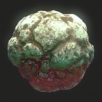 Mildew Mold Spore