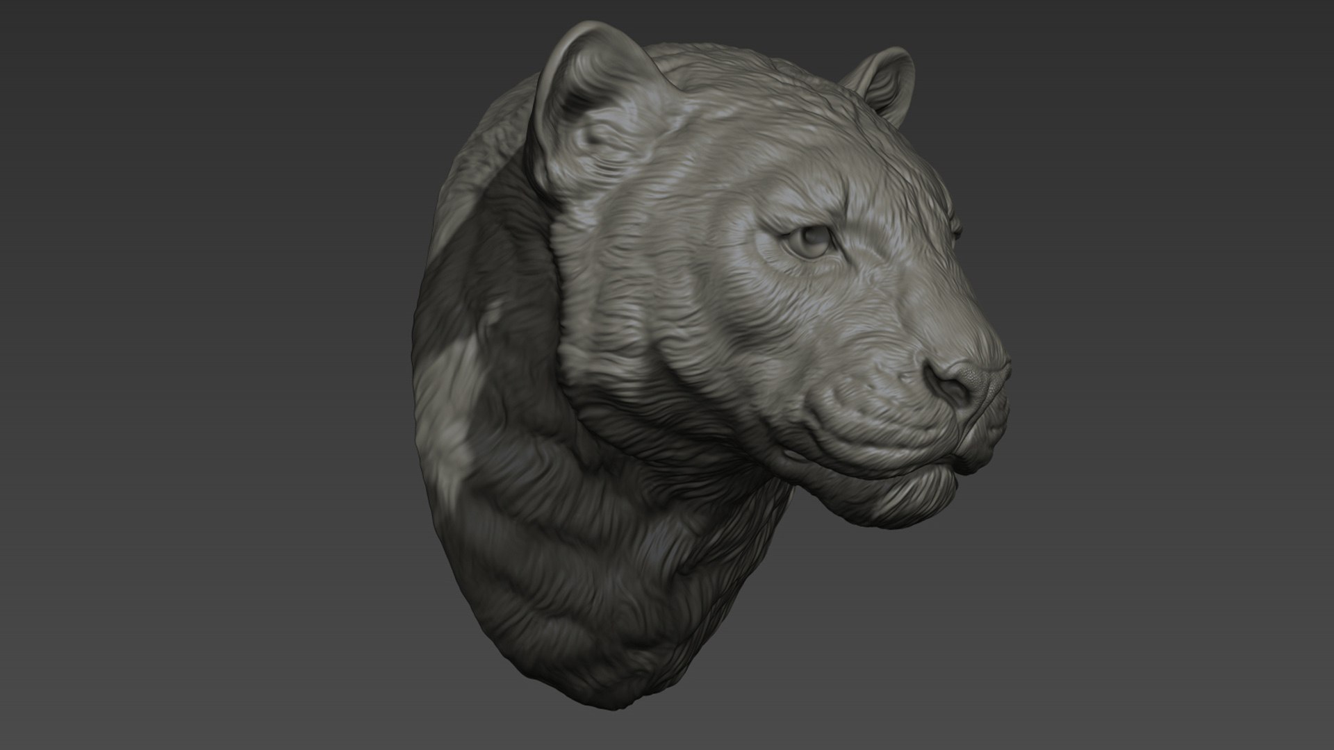 3D Panther leopard head model https://p.turbosquid.com/ts-thumb/0I/LDBfay/Ji/51/jpg/1641758627/1920x1080/fit_q87/6c9c5e5efd9865ad2da8eac6c5c14ac5904e4c2d/51.jpg
