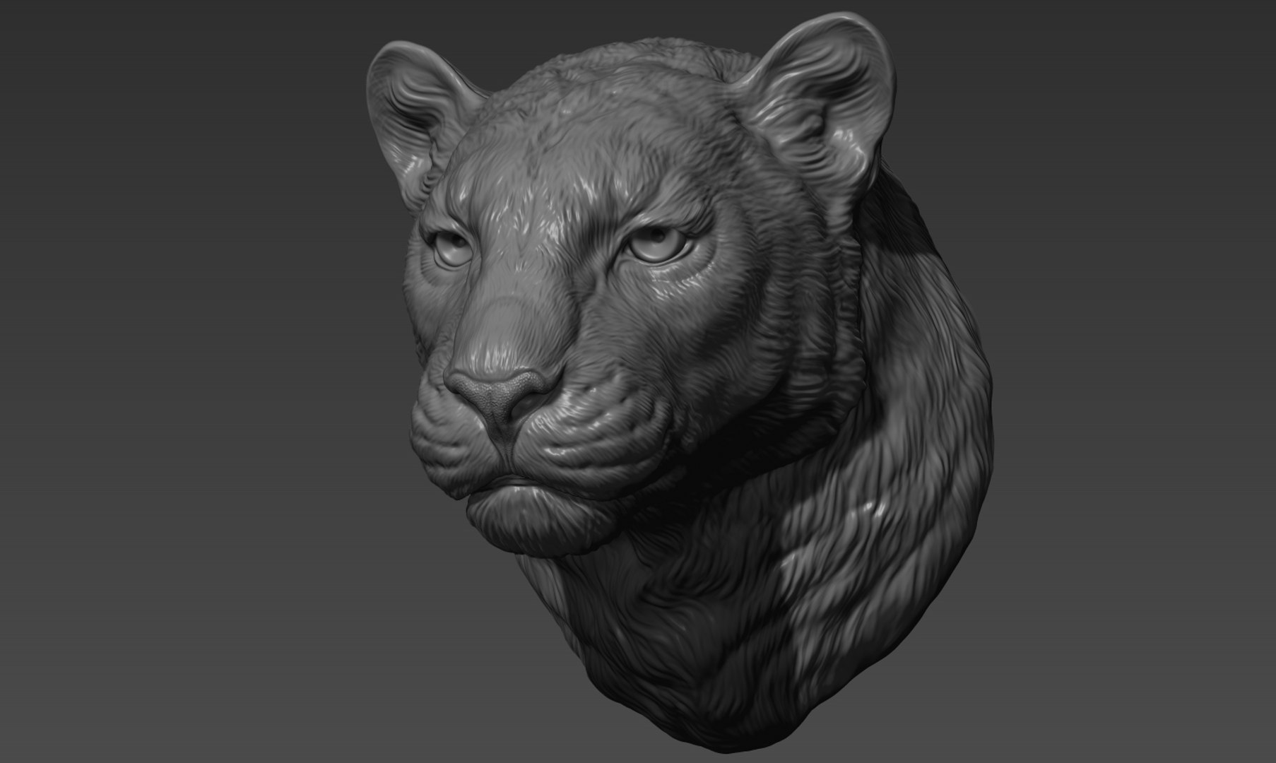 3D Panther leopard head model https://p.turbosquid.com/ts-thumb/0I/LDBfay/L9/8/jpg/1641758624/1920x1080/fit_q87/26204b2589b607d92084f1e173183657a76650ae/8.jpg