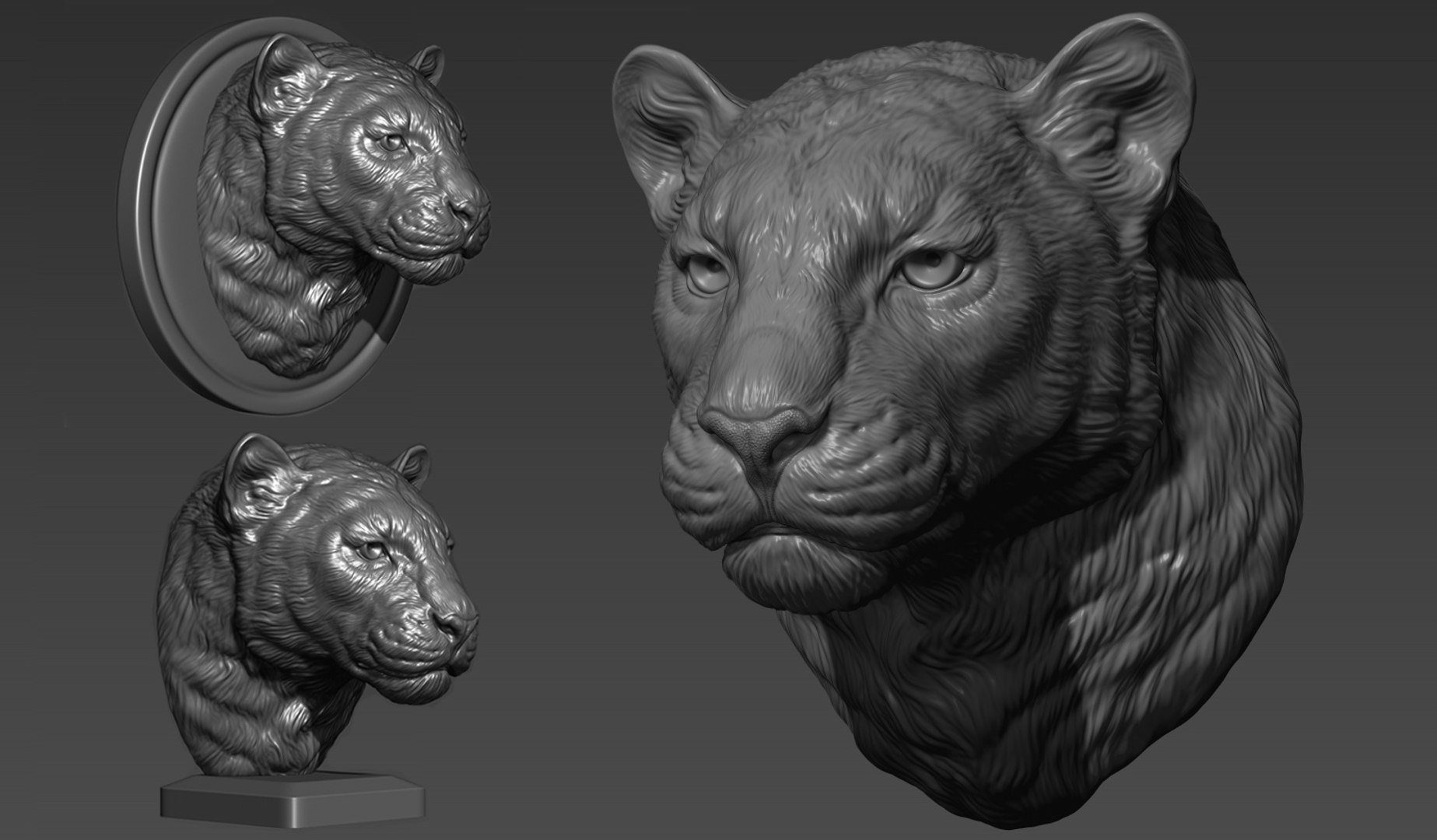 3D Panther leopard head model - TurboSquid 1837937