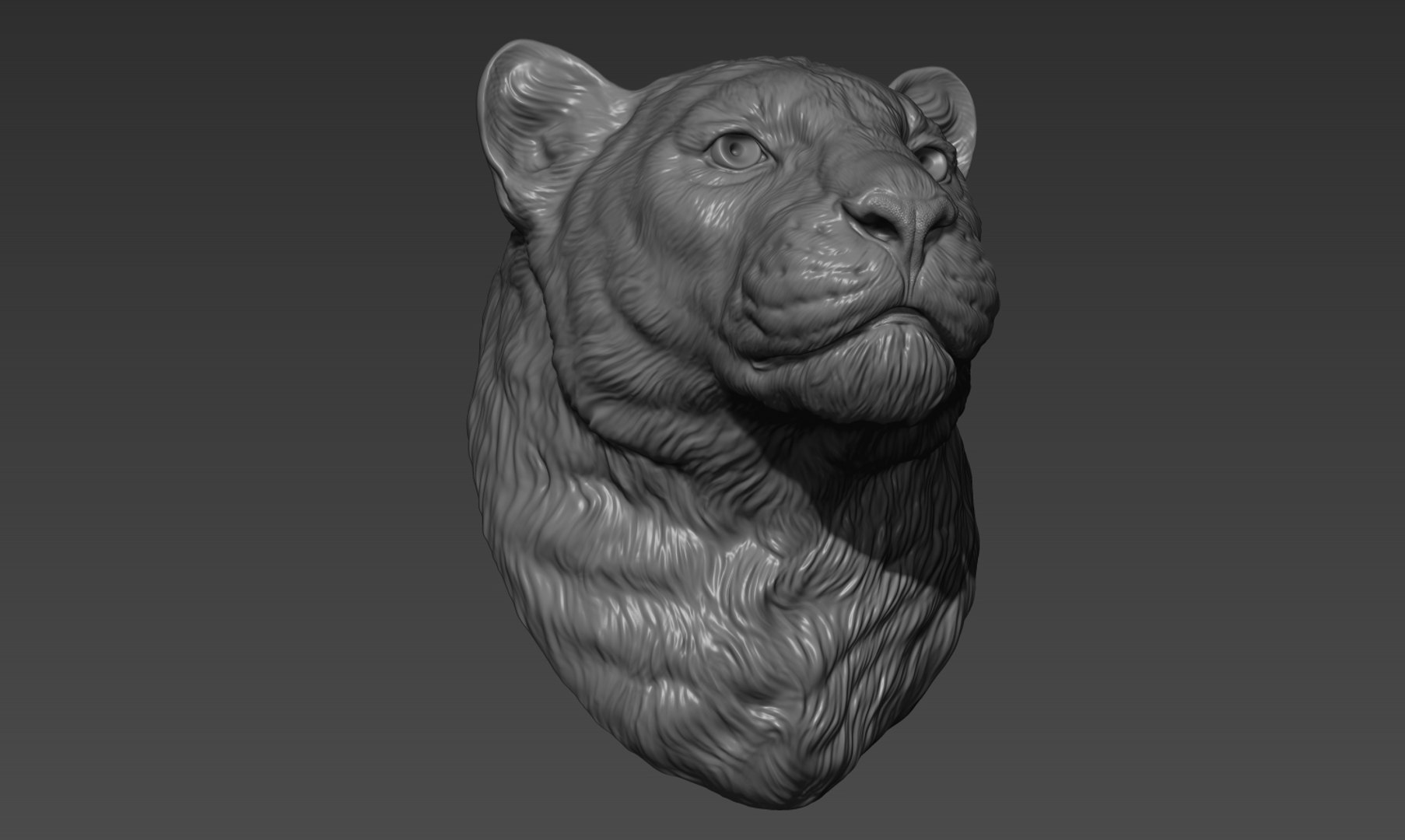 3D Panther leopard head model https://p.turbosquid.com/ts-thumb/0I/LDBfay/oR/4/jpg/1641758623/1920x1080/fit_q87/5620a41e8b969cfa558091e3a2d770ef72d17e5b/4.jpg