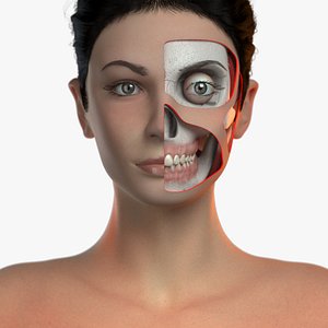 3D model orthodontic mannequin v-ray ortho