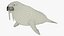 Walrus Walking Animated Rigged For Blender