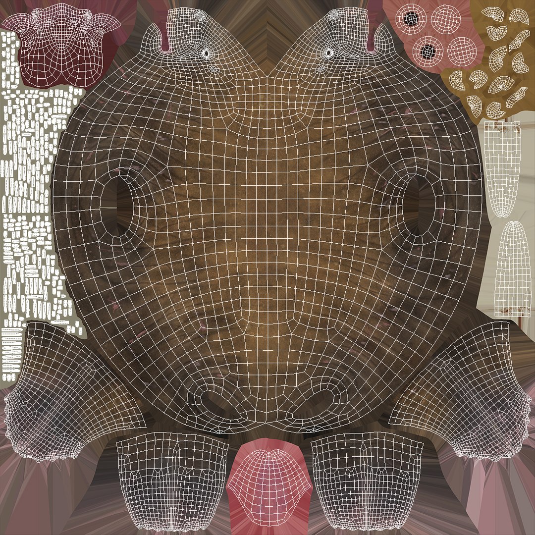 3D Walrus Walking Animated Rigged For Blender https://p.turbosquid.com/ts-thumb/0I/N8mbpk/UG/walrus_walking_animated_rigged_for_blender_018/jpg/1765766691/1920x1080/fit_q87/f3e69306eab6554b3e4235e4bb242c5be2faa43c/walrus_walking_animated_rigged_for_blender_018.jpg