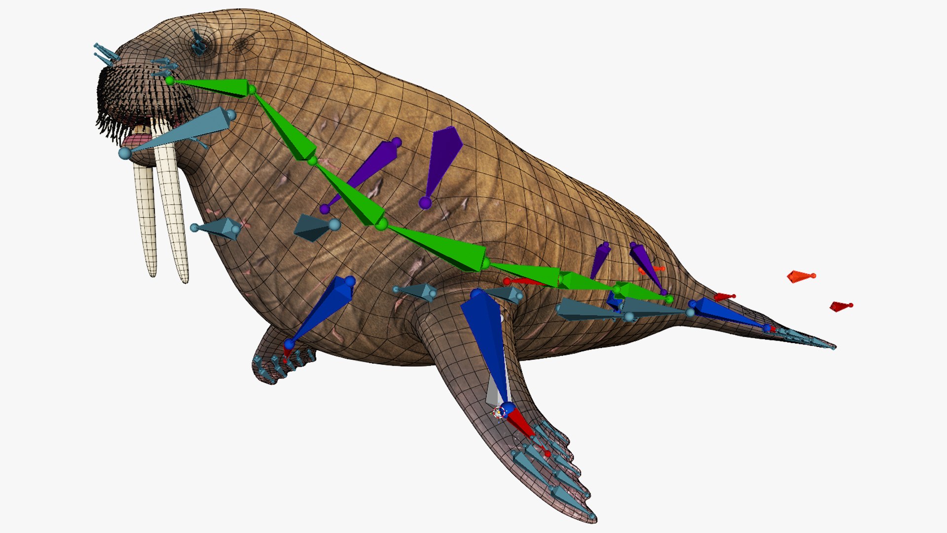 3D Walrus Walking Animated Rigged For Blender https://p.turbosquid.com/ts-thumb/0I/N8mbpk/gL/walrus_walking_animated_rigged_for_blender_002/jpg/1765766639/1920x1080/fit_q87/1e48dc640007673d658fc994d349b733a36d8d9c/walrus_walking_animated_rigged_for_blender_002.jpg