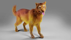 Fur Red Dog Rigged in Blender 3D