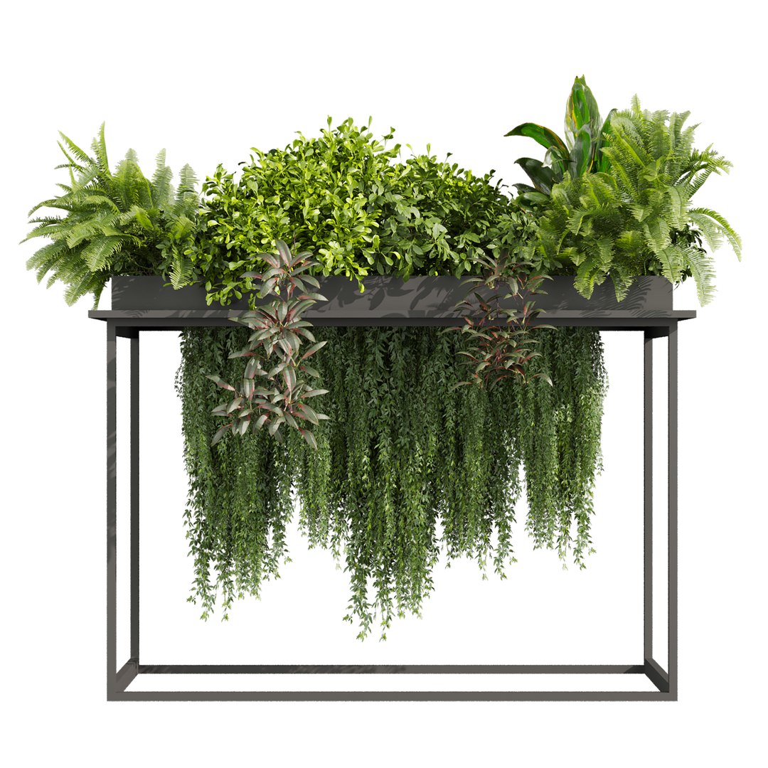 3D plant vol 1016 - box - fern - ivy https://p.turbosquid.com/ts-thumb/0I/jYGDRb/Ic/2/jpg/1788970329/1920x1080/fit_q87/b5e08b23c3f9b7f44c28b42d7c38534792302eaa/2.jpg