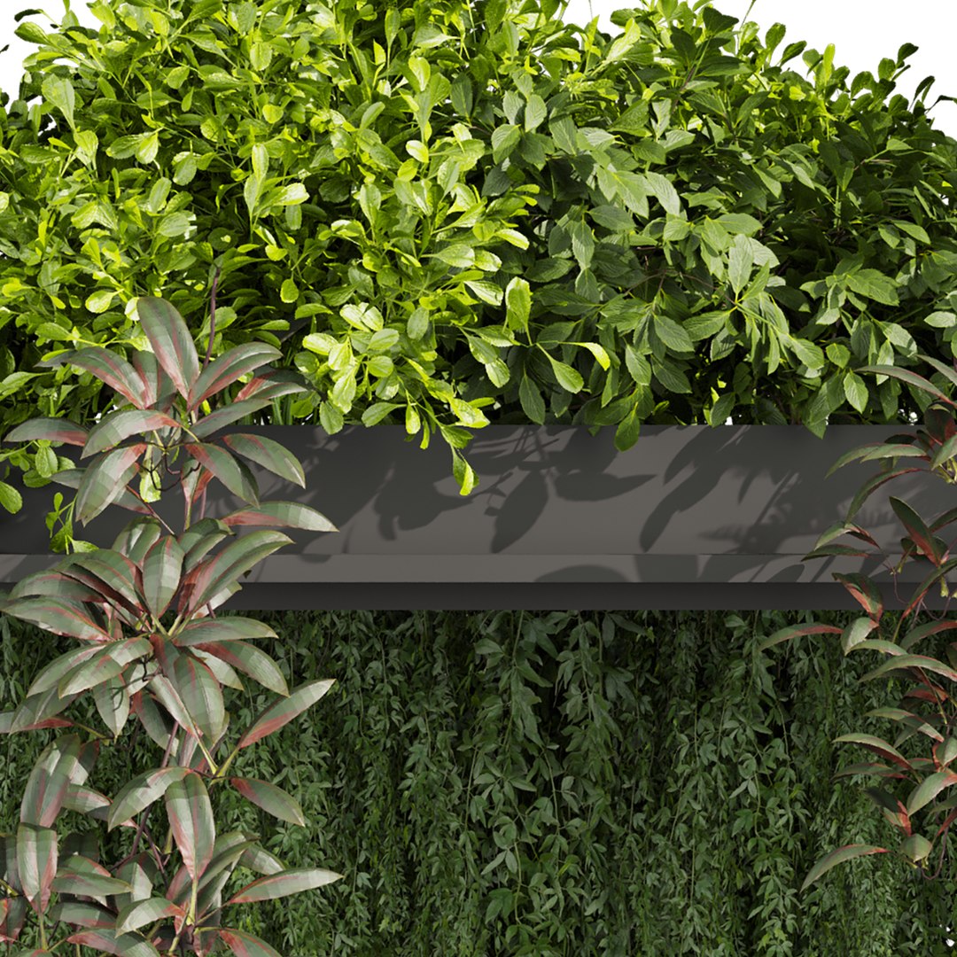 3D plant vol 1016 - box - fern - ivy https://p.turbosquid.com/ts-thumb/0I/jYGDRb/Ms/5/jpg/1788970332/1920x1080/fit_q87/3c35f1b224794977a2ea7a4e2da079b203295e0e/5.jpg