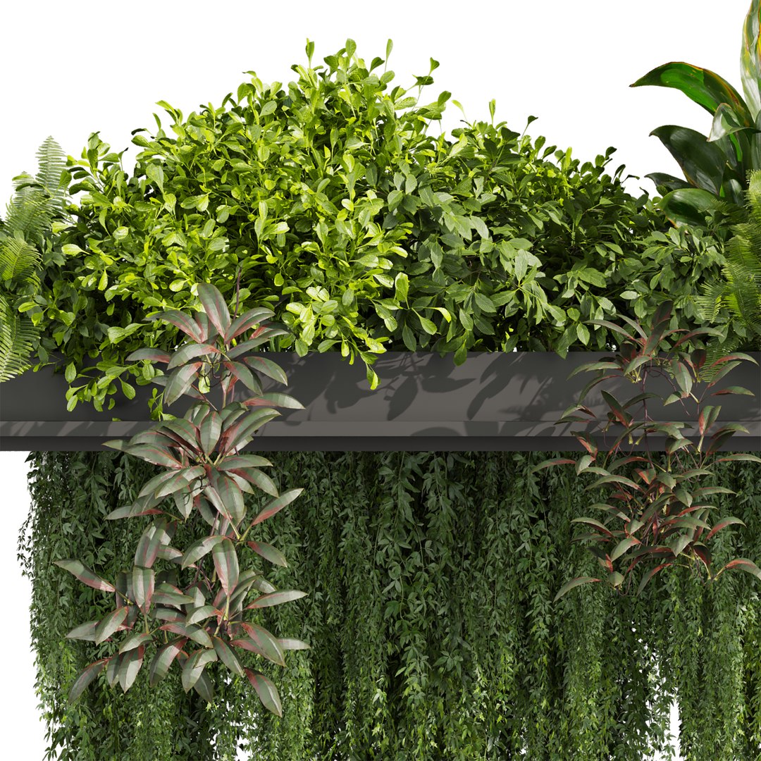 3D plant vol 1016 - box - fern - ivy https://p.turbosquid.com/ts-thumb/0I/jYGDRb/u7/3/jpg/1788970331/1920x1080/fit_q87/1253f230a4598c60176dfaab255737a6e32af693/3.jpg