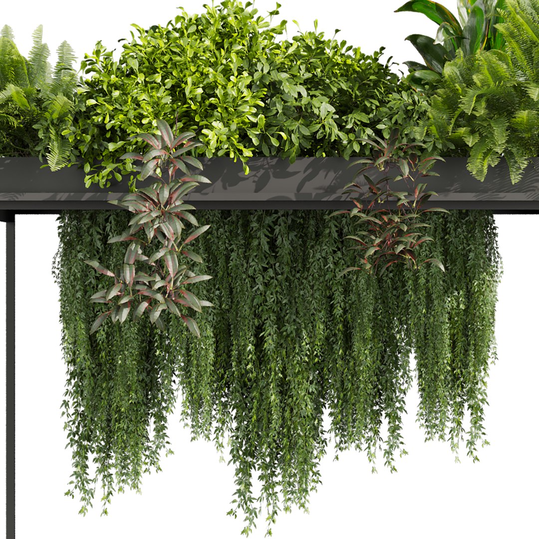 3D plant vol 1016 - box - fern - ivy https://p.turbosquid.com/ts-thumb/0I/jYGDRb/wq/4/jpg/1788970331/1920x1080/fit_q87/8c7f5bbf3adc9762ea1b2de84e24e372d23cc0a4/4.jpg
