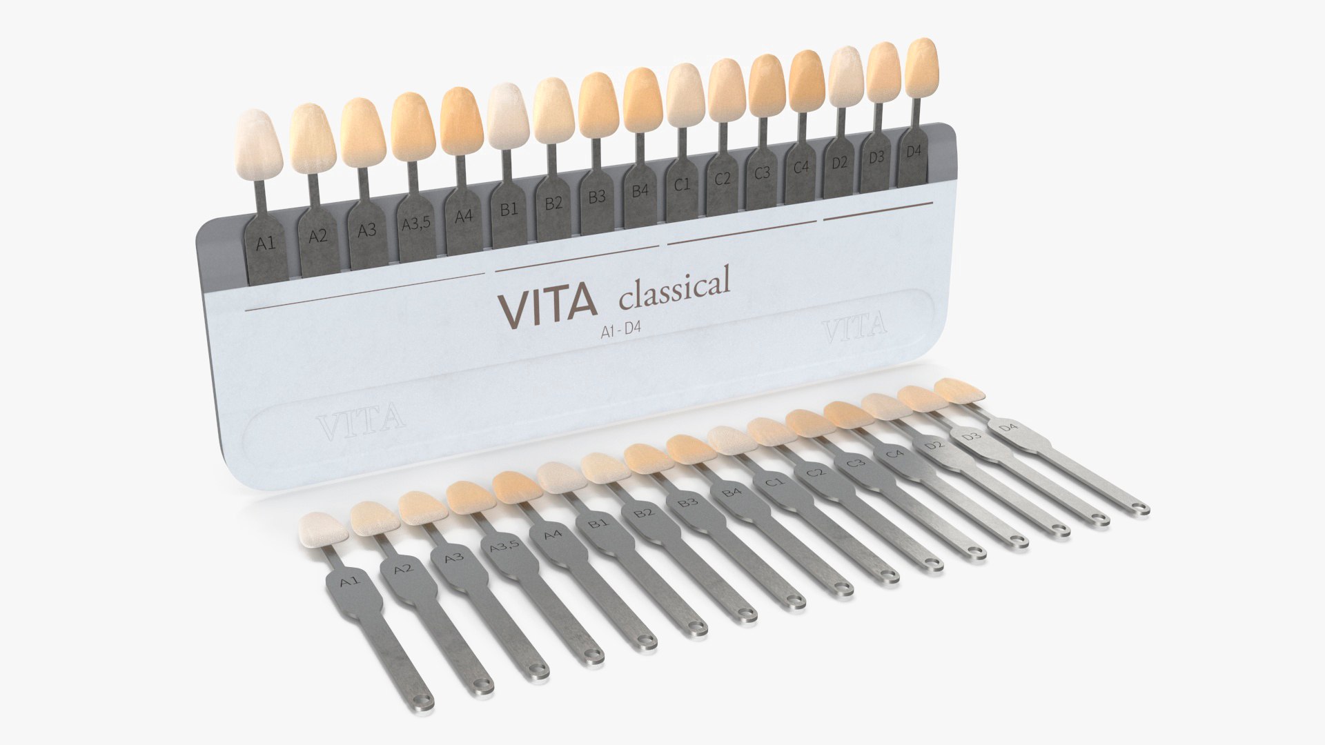 VITA Classical A1-D4 Shade Guide 3D model preview