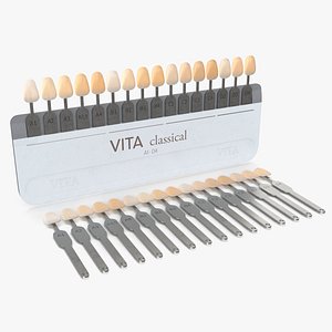 3D VITA Classical A1-D4 Shade Guide