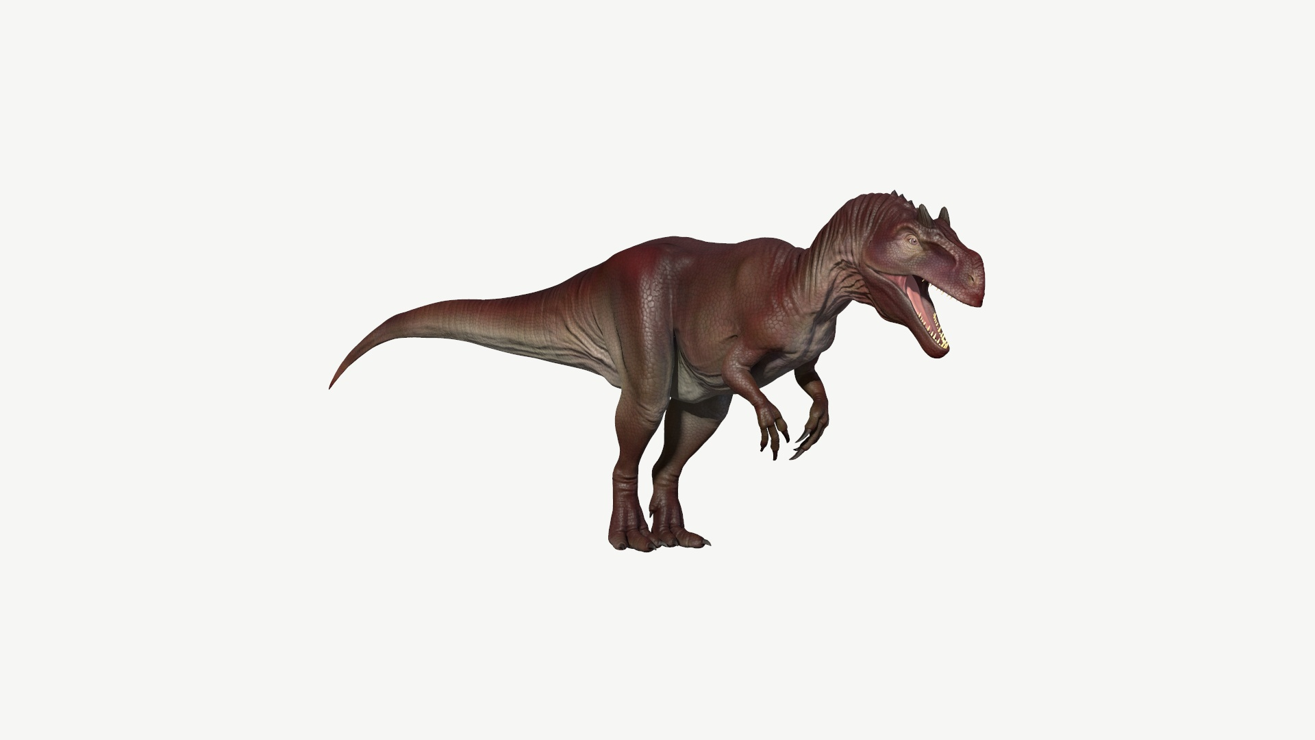 3D Allosaurus Model - TurboSquid 1154705